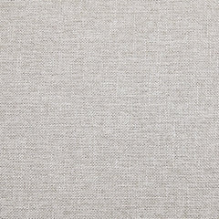 Rainier Ranch Arm Chair With Cushion (2/CN)