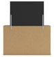 Urbanoore Full Panel Bed with Storage, Dresser, Mirror and Nightstand